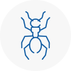 Ant Removals In Sherwood