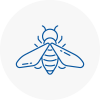 Bee Nest Removal Sherwood