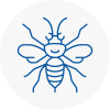 Sherwood Hornet Nest Removals