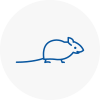 Mice Exterminators In Sherwood