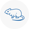 Rat Control Sherwood