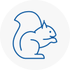 Sherwood Rodent Removals