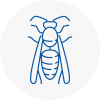 Sherwood Wasp Nest Removal